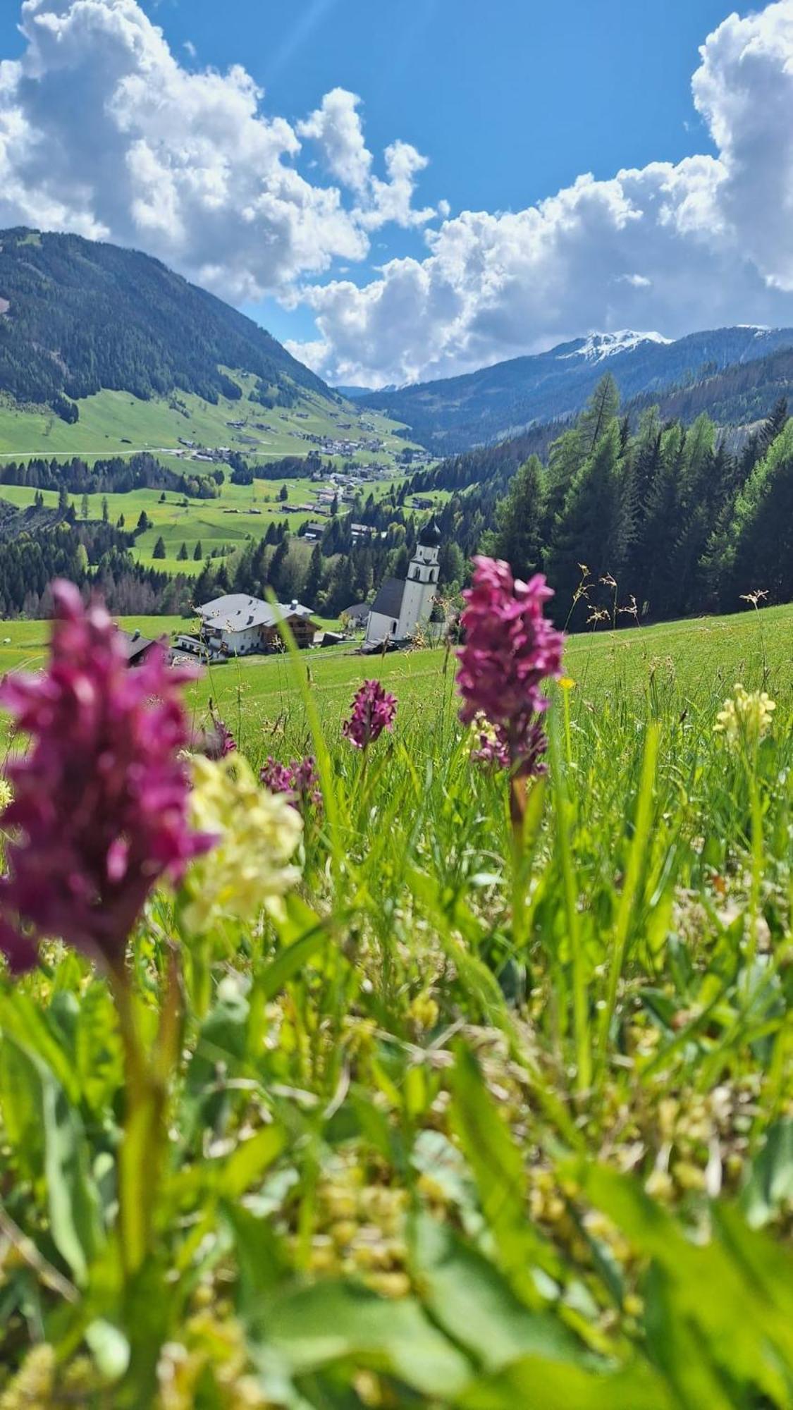 Neuhauserhof Farm stay Kartitsch