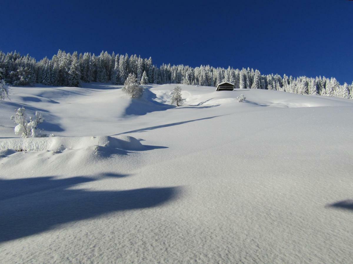 Neuhauserhof Kartitsch